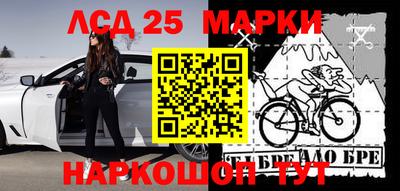 индика Будённовск