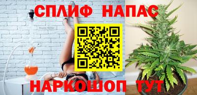 индика Будённовск