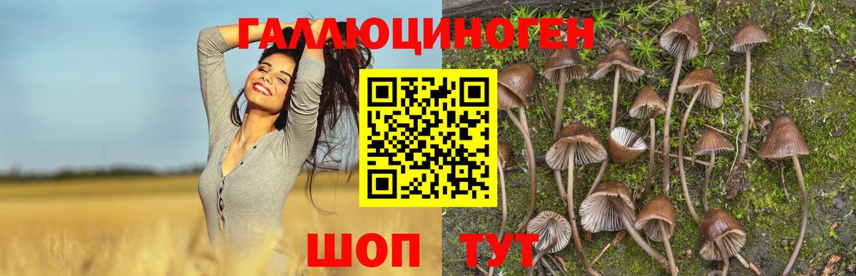 Псилоцибиновые грибы MAGIC MUSHROOMS Смоленск